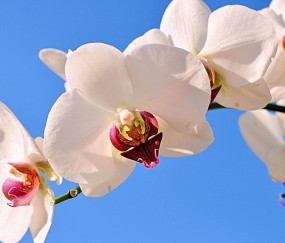 黑龙江正规助孕捐卵机构，附正规捐卵机构报名表！